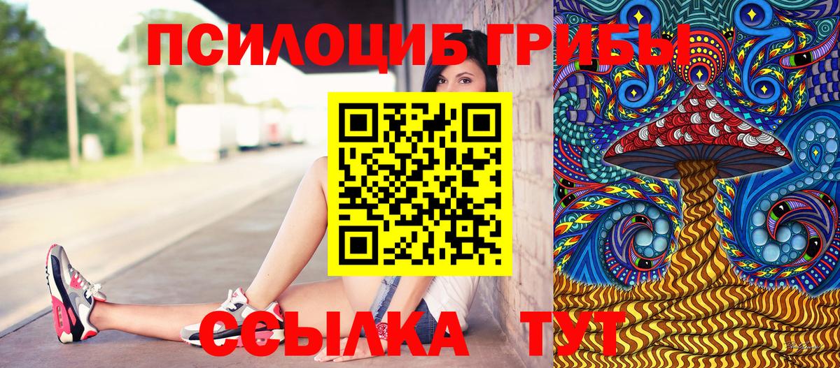 даркнет сайт  Псилоцибиновые грибы Cubensis  Вход с VPN  Семёнов 