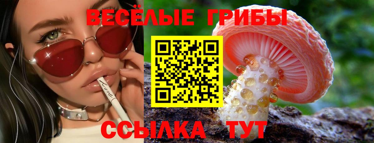 Псилоцибиновые грибы мицелий Семёнов